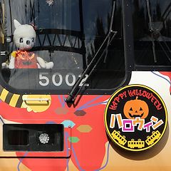nEBߑp̂񂿂35002